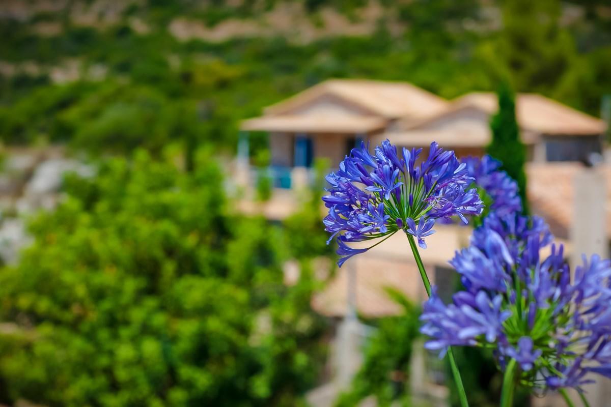 Notos Hotel Kardamili מראה חיצוני תמונה
